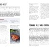 Workman Publishing Steven Raichlen - The Brisket Chronicles - Image 3