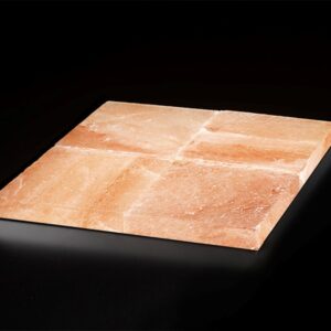 Dry-Ager DX 1000 - Sada 4 himalájských solných desek