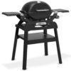 Plynový gril Weber Q 1200N Stand - Image 2