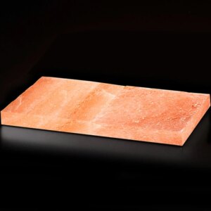 Dry-Ager DX 500 - Sada 2 himalájských solných desek